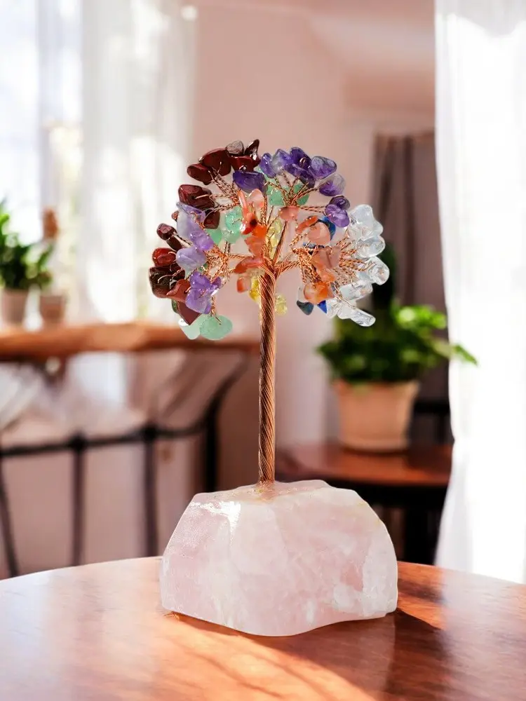 image8-Photoroom.webp