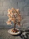 中尺寸IMG_0634.webp