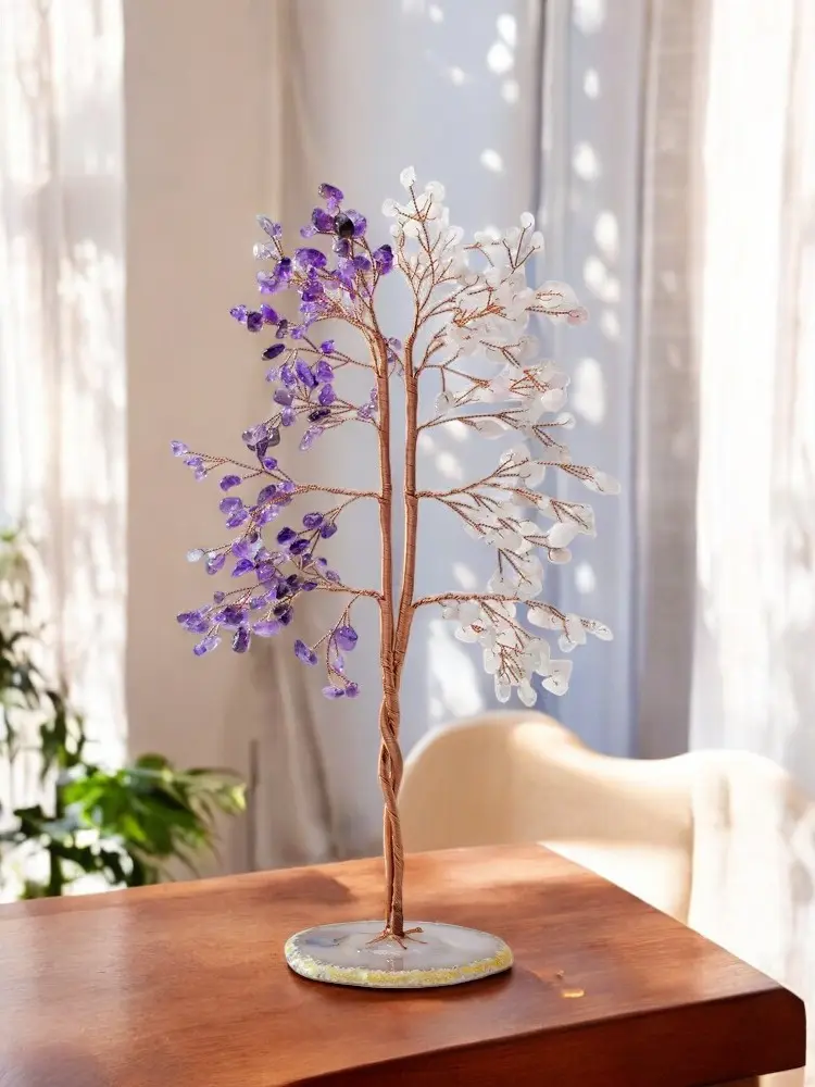 image5-Photoroom.webp