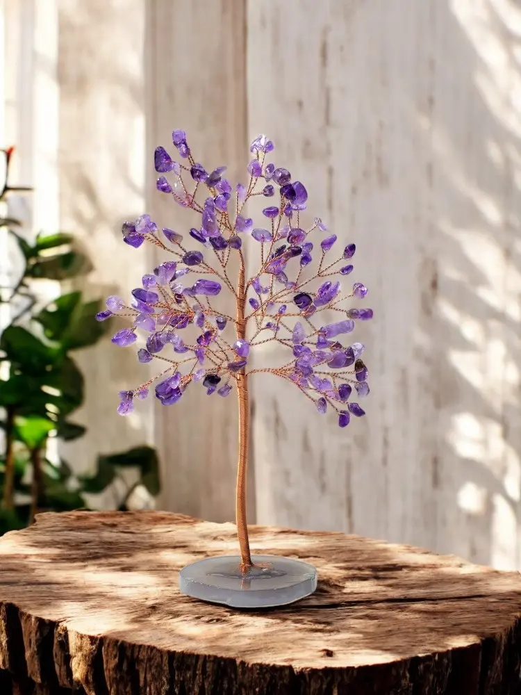 image13-Photoroom.webp